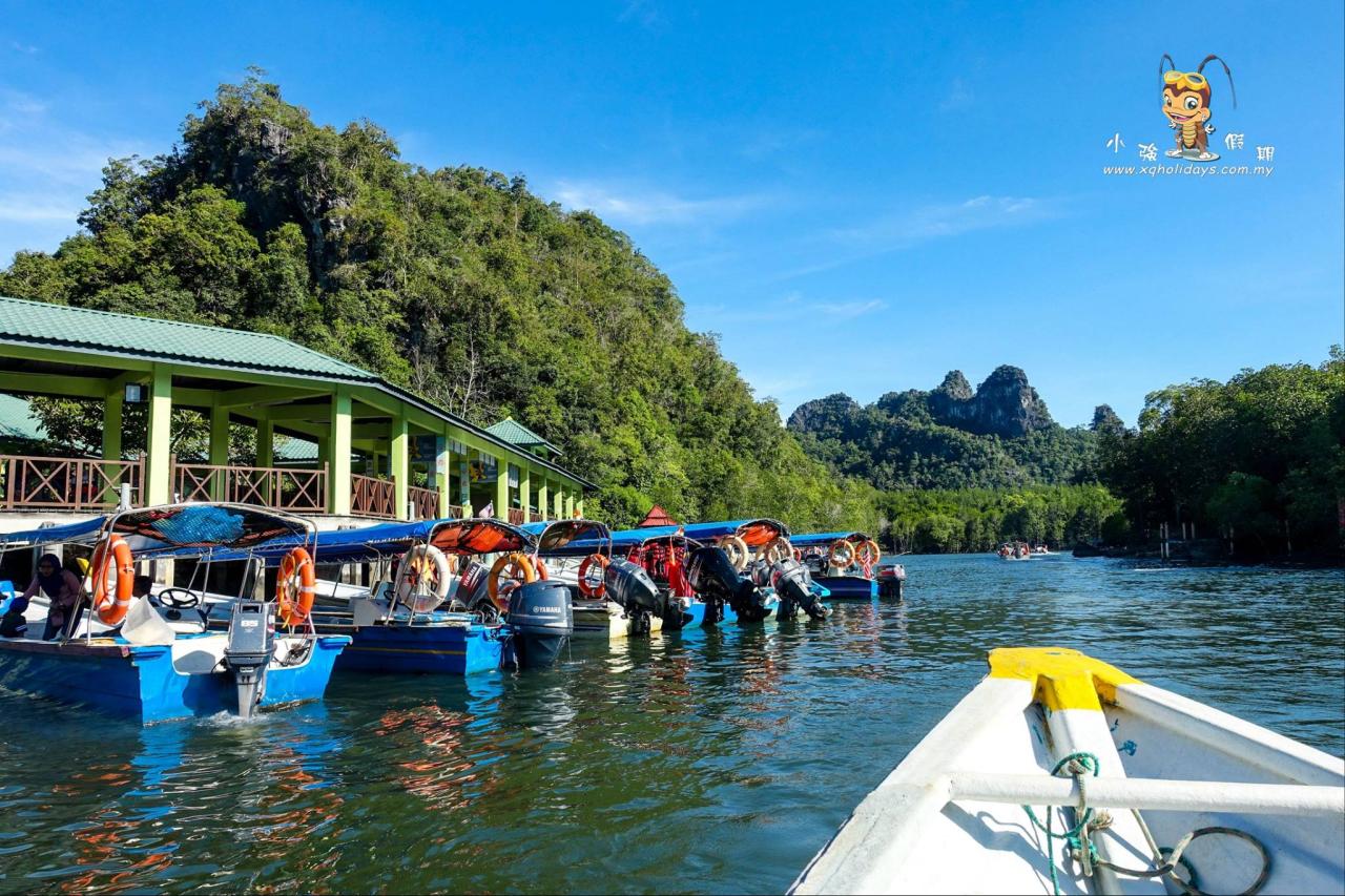 Jelajahi Mangrove Tour Langkawi: Petualangan Ekosistem yang Menakjubkan